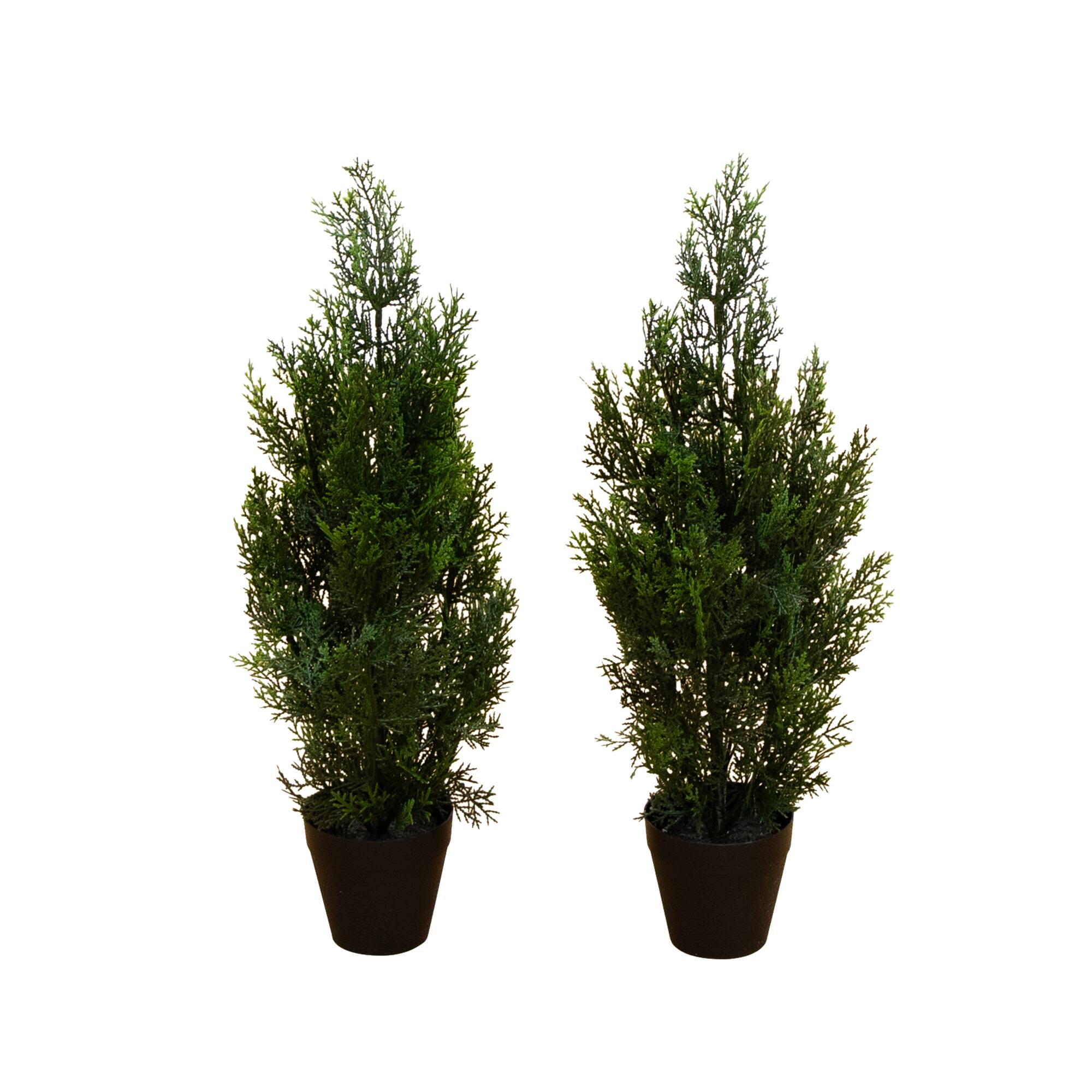 2ft. Potted UV Resistant Cedar Pine Trees, 2ct.